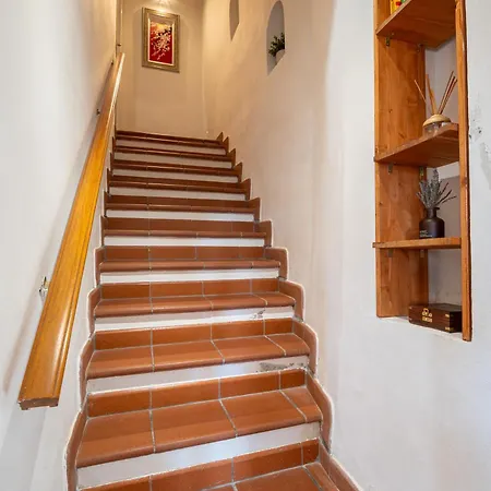 Cavallotti 17